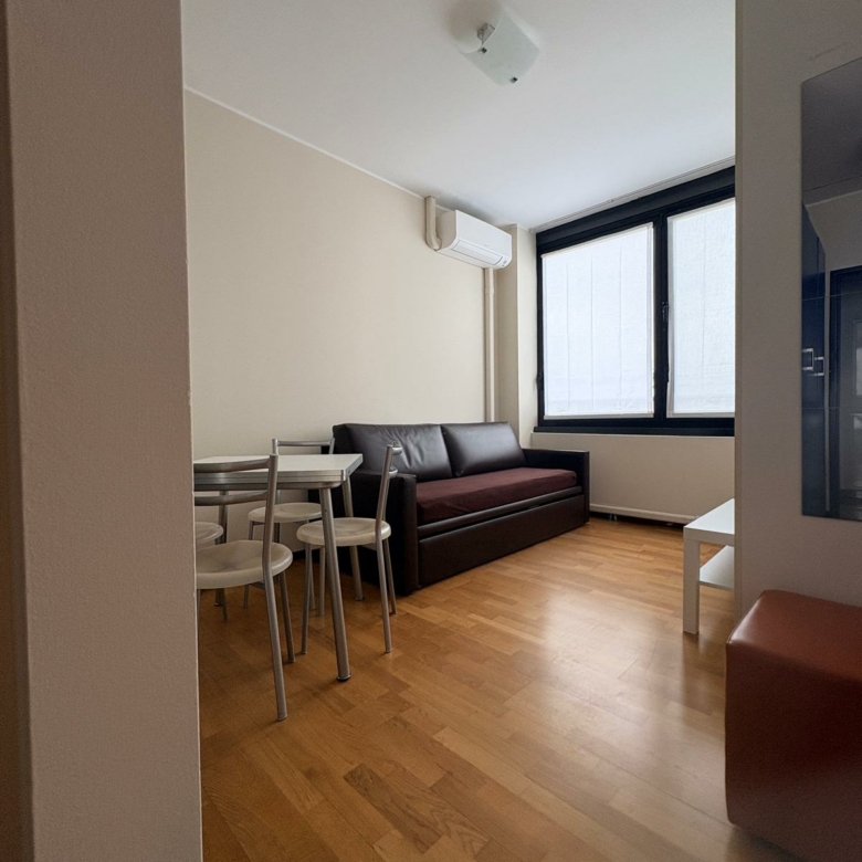 Ampio monolocale  Milano