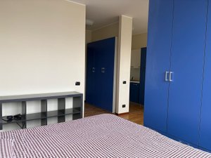 Ampio monolocale  Milano